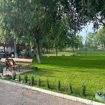 Gigios Sport&Relax Villa Bailesti Exteriör bild