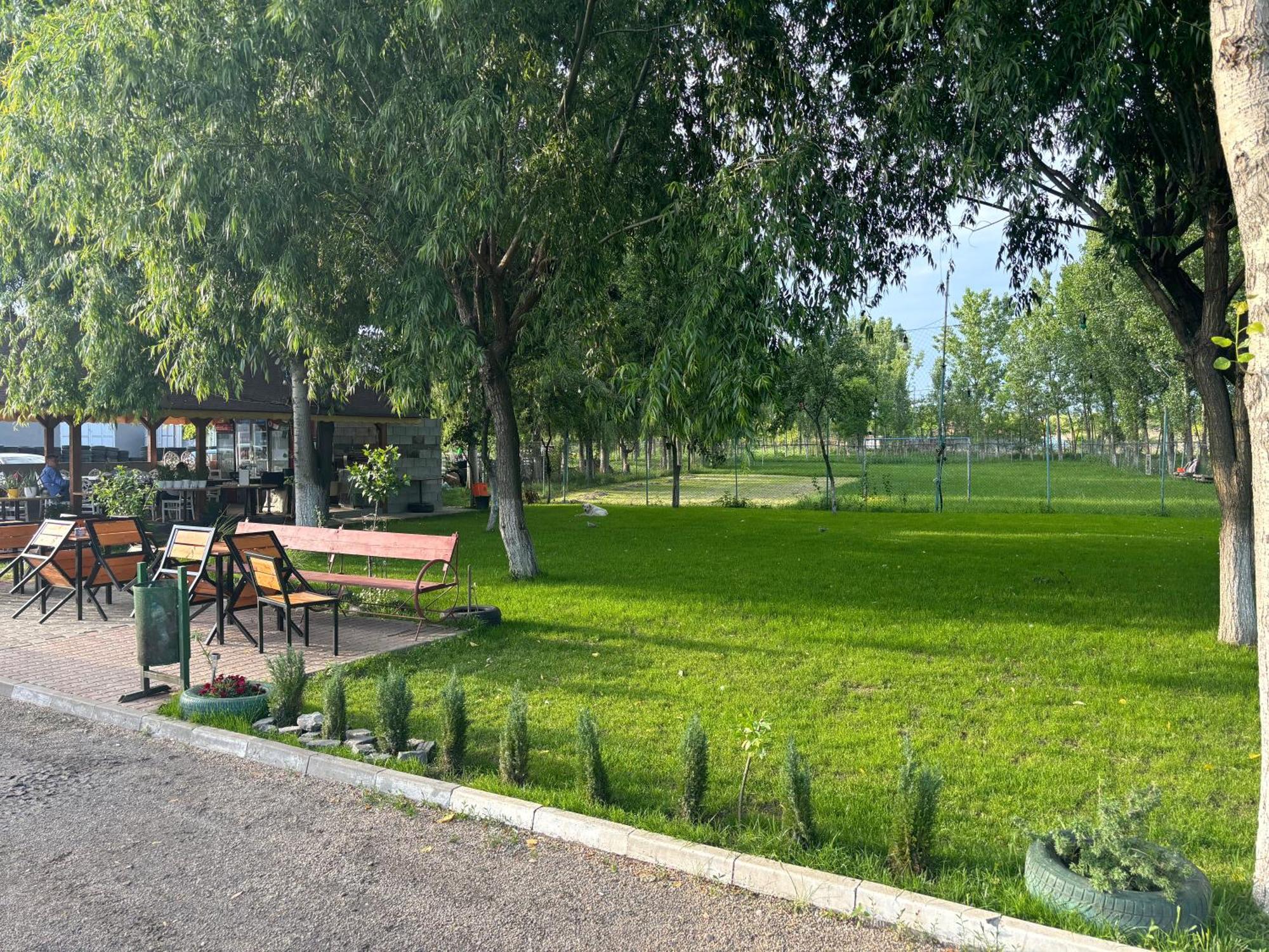 Gigios Sport&Relax Villa Bailesti Exteriör bild